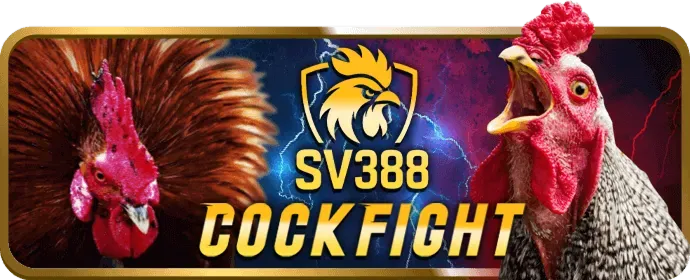 Hình ảnh minh họa quá trình đăng ký tài khoản mcw87 win